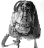 CollectionObject 1567134; db0f69d5-15c7-4b35-b6b0-bdd440a4832a: Image Carbonell, C.S. female, frontal view (paralectotype). (CollectionObject).