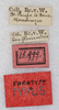labels (syntype). Depicts CollectionObject 1592110; b12f297f-f2b6-4c30-b577-2bd0630a82b4, a CollectionObject.