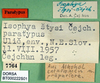 CollectionObject 1502522; 785df999-b2d9-4ad3-a560-229bd607d6f2: labels (paratype). (CollectionObject).