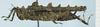 CollectionObject 1583753; 1f2ade45-ea71-48b9-af9d-021b03b20c8c: female, lateral view. (CollectionObject).
