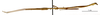 CollectionObject 1557972; 559134a7-351a-49f0-b680-accf81375395: copyright MNHN, Paris. male, lateral view (holotype). (CollectionObject).