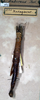 CollectionObject 1561396; NMW 265, 9856651f-9abb-4d35-8902-8415c01abcab: copyright NMW, Vienna. female (syntype). (CollectionObject).