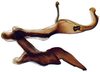 Aedeagus, lateral view: Deltocephalus pulicaris, connective, stylus, and aedeagus, laterally (INHS). (Observation).