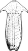 Aedeagus, ventral view: Aedeagus, ventral view. (Observation).