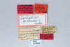 CollectionObject 2738253; 2849ea8d-7156-40ce-84e2-ae2138e66d5c: (CollectionObject).
