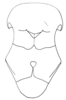 Tristria discoidalis Bolívar, 1890: sternum. (Otu).