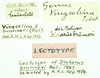 CollectionObject 1532567; 46c2e601-7b99-4d3f-9b3c-b24252205cc9: labels (lectotype). (CollectionObject).