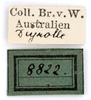 CollectionObject 1575348; bd258cf8-69dd-4252-8be2-d03d1bb9f2a3: labels (not a type). (CollectionObject).