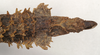 CollectionObject 1561821; c6b78b68-04f1-4a26-a7fa-c3d8ba93f2b9: copyright Natural History Museum, London. female: end of abdomen, dorsal view (holotype). (CollectionObject).