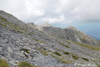 CollectionObject 1598754; 6a7a13e8-1f9d-40c9-aba3-9404475e1a24: habitat. (CollectionObject).