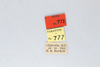 CollectionObject 2738144; d6003ef7-bd39-4375-adf8-19a812ffd169: Bradynotes chilcotinae chilcotinae. Label. (CollectionObject).