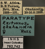 Other on Exitianus okahandia Ross, 1968: Labels. Labels for the dorsal and lateral images - Paratypes. (Observation).