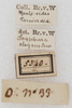 labels. Depicts CollectionObject 1552395; NMW 5340, 82be024e-0434-4008-b120-82003d7eab7c, a CollectionObject.