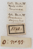 CollectionObject 1552395; NMW 5340, 82be024e-0434-4008-b120-82003d7eab7c: labels. (CollectionObject).