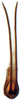 Aedeagus, ventral view: Drakensbergena phaeogramma, aedeagus, caudally (INHS). (Observation).