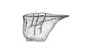 Staleochlora viridicata orientalis Roberts & Carbonell, 1992: Fig. 21B. pronotum, lateral view. (Otu).