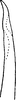 Pygofer ventral appendages, ventral view: Pygofer appendage, ventral view. (Observation).