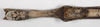 CollectionObject 1563484; 1c50b8bd-9354-47c4-b200-7ba4bb66c162: copyright Natural History Museum, London. female: end of abdomen, ventral view (holotype). (CollectionObject).