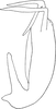 Aedeagus, lateral view on Eurhadina (Eurhadina) betularia Anufriev, 1969: Aedeagus, lateral view. (Observation).