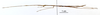 CollectionObject 1565281; 00a00da6-e1c6-41a3-b714-8d5502664712: copyright MNHN, Paris. male, lateral view (holotype). (CollectionObject).