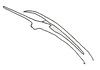 Aedeagus, lateral view: Apical portion of aedeagus, lateral view. (Observation).