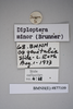 CollectionObject 1573243; 3d12e2de-744c-4768-87f1-204e5f8581d1: Copyright NHM, London. data labels, non-type. (CollectionObject).