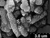 Brochosomes on Cuerna arida Oman & Beamer, 1944: CR172 | U.S.A., California, Indio, Pine Flats Camp. | 7/12/1941 | KSEM. (Observation).