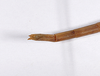 CollectionObject 1558994; 07c8b373-151c-4672-9044-c405cd3b7e66: copyright ZMHB, Berlin. female juv. of Bacunculus bradypus: end of abdomen, ventral view [in alcohol] (holotype). (CollectionObject).