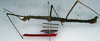 CollectionObject 1557776; db09e5e6-a031-42c2-8b75-5c488b61d0ea: copyright NMW. male, lateral view (syntype). (CollectionObject).;CollectionObject 1557777; 022a4bd5-75b3-4878-9016-fc44d8d98d1b: copyright NMW. male, lateral view (syntype). (CollectionObject).