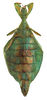 CollectionObject 1561208; da22c0d4-b4ee-4e89-b780-674bde3aa142, NMW 299: © NHMW, NOaS Image Collection; with permission. female, ventral view (syntype). (CollectionObject).