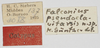 CollectionObject 1577228; d84caddf-8d94-4458-bfbd-ff582128d96e: labels (syntype). (CollectionObject).