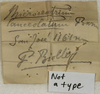 CollectionObject 1566582; 9980d4ad-2bfc-40ff-b44a-206897bb56a3: labels. (CollectionObject).