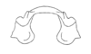 Malezacris hirsuta Amédégnato & Poulain, 1998: Fig. 45. Epiphallus (dorsal view). (Otu).