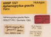 CollectionObject 1523616; cc0ef9bb-1f9c-4083-a25f-db8784b81fe0: labels (holotype). (CollectionObject).