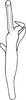 Aedeagus, ventral view: Aedeagus (D. funeta Mel.), ventral view. (Observation).