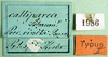 CollectionObject 1501823; 221055d6-1d14-47a2-b08d-ee60a4376636: labels (syntype). (CollectionObject).