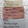 CollectionObject 1506564; 150cc512-9bff-498a-80db-2d89d0d916a7: labels (possible type). (CollectionObject).