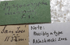 CollectionObject 1505703; ade45ca2-e508-4e5a-9e57-2eb414ae39d7: labels (possible type of Pyrgocorypha inermis). (CollectionObject).