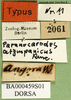 CollectionObject 1501179; c7e906df-b396-4b6b-804a-b18685f82620, DORSA BA000459S01: labels (holotype of Paranocarodes atympanicus). (CollectionObject).