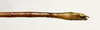 CollectionObject 1584632; 009aada2-dfd6-41dd-93a3-44be6e23e54a: (CollectionObject).