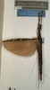 CollectionObject 1560613; 7bafb07f-13f5-400e-b9aa-62a7e0b89197: copyright NMW, Vienna. female (syntype). (CollectionObject).;CollectionObject 1560614; c907d110-1ce9-4b11-8ff1-126d7de763f9: copyright NMW, Vienna. female (syntype). (CollectionObject).