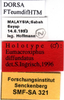 CollectionObject 1505290; b85e406d-308e-4098-8c99-608772f826aa: male labels (holotype). (CollectionObject).