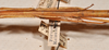 CollectionObject 1561182; ca722f59-5ae0-4d4f-8225-88a048e4085c: copyright NTUC. fmale, data (syntype). (CollectionObject).