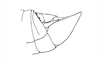 Costalimacris neotropica Carbonell & Campos Seabra, 1988: Fig. 15. male abdomen tip, lateral view. (Otu).