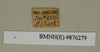 CollectionObject 1572942; d4c6425d-9db5-4302-8c11-9516469ea7fe: Copyright Natural History Museum, London. Labels from non-type (adult male) in BM(NH). (CollectionObject).