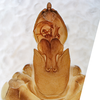 Pygofer, ventral view on Cyclopoliarus omani (Metcalf, 1938): (Observation).