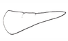 Digamacris amoena (Stål, 1878): Fig. 9. male cercus, dorsal view. (Otu).