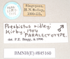 CollectionObject 1561307; 65787e1d-43b2-44c6-9dc1-3cf6b807841b: copyright Natural History Museum, London. male, data labels of synonym Presbistus ridleyi (paralectotype). (CollectionObject).