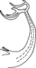Aedeagus, lateral view on Edwardsiana plurispinosa (Wagner, 1935): Aedeagus, lateral view. (Observation).
