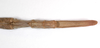 CollectionObject 1576634; 212bea82-7750-41b2-93b4-61e98d27c9c5: copyright FSCA. female: end of abdomen, ventral view (paratype). (CollectionObject).